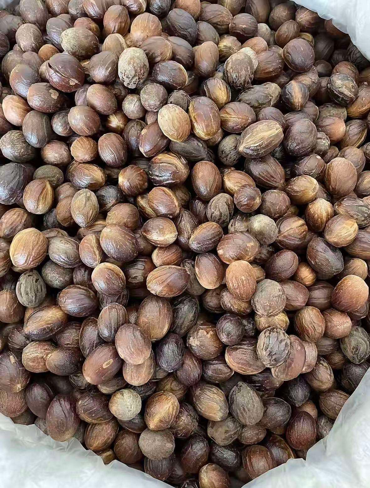 China Origin High Quality Whole Round Cardamom Premium Dried Spice Bulk Supply for Buyers