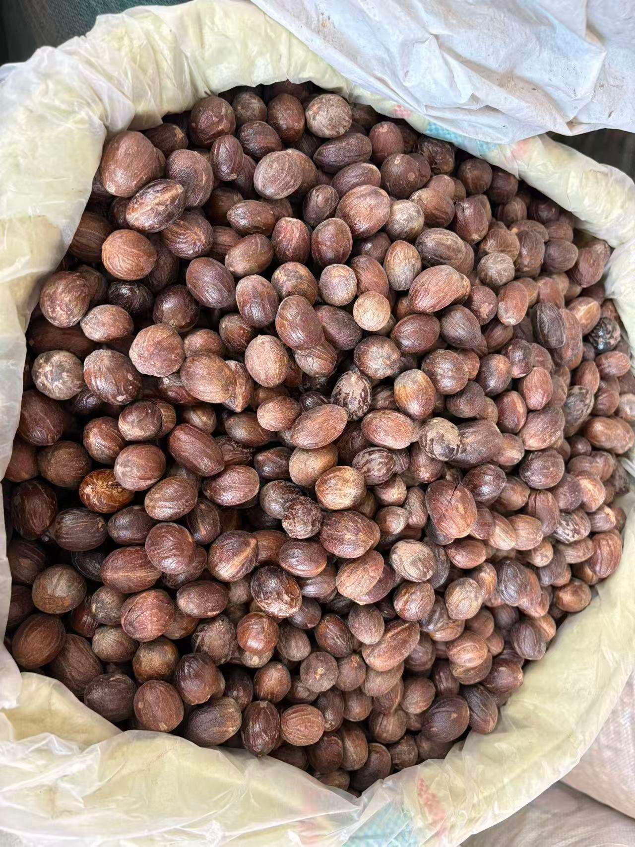China Origin High Quality Whole Round Cardamom Premium Dried Spice Bulk Supply for Buyers