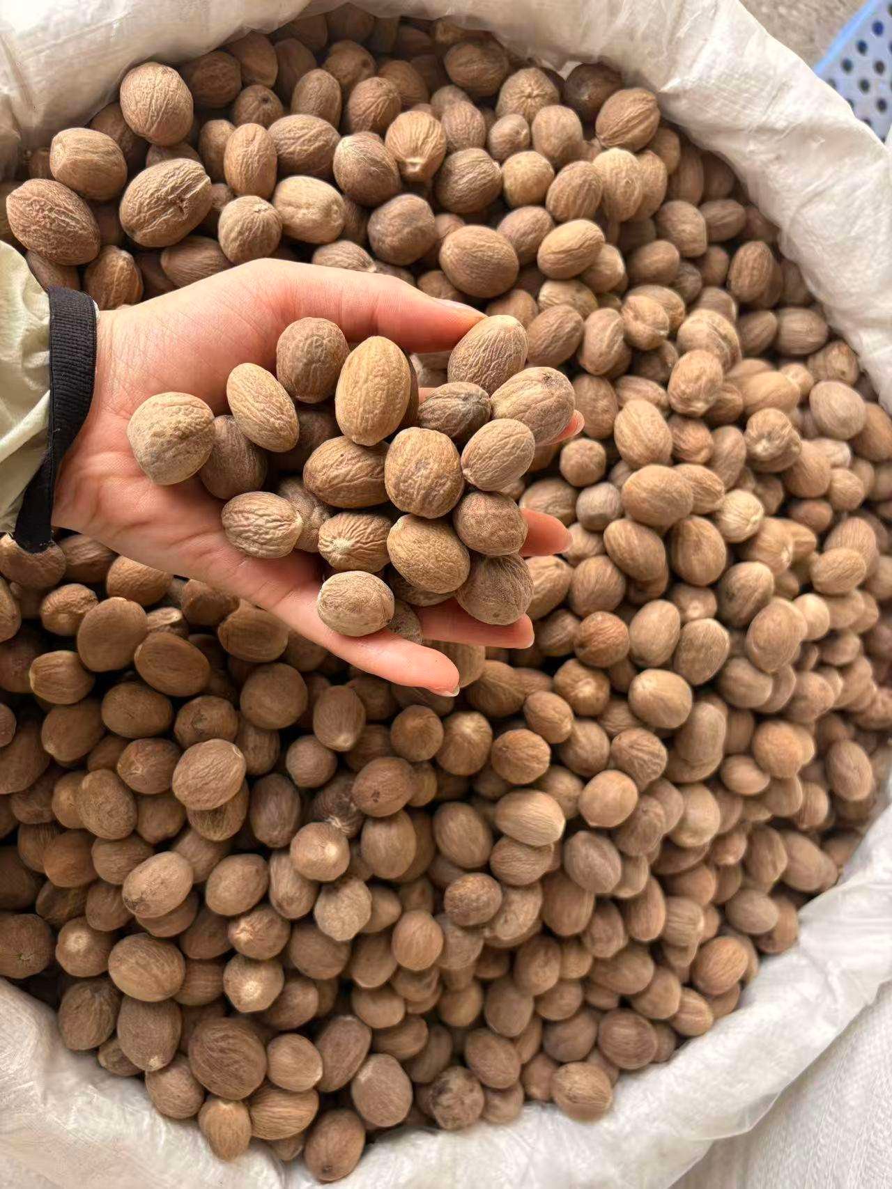 Stable Quality Whole Nutmeg Premium Spice for Baking Cooking and Spice Blending