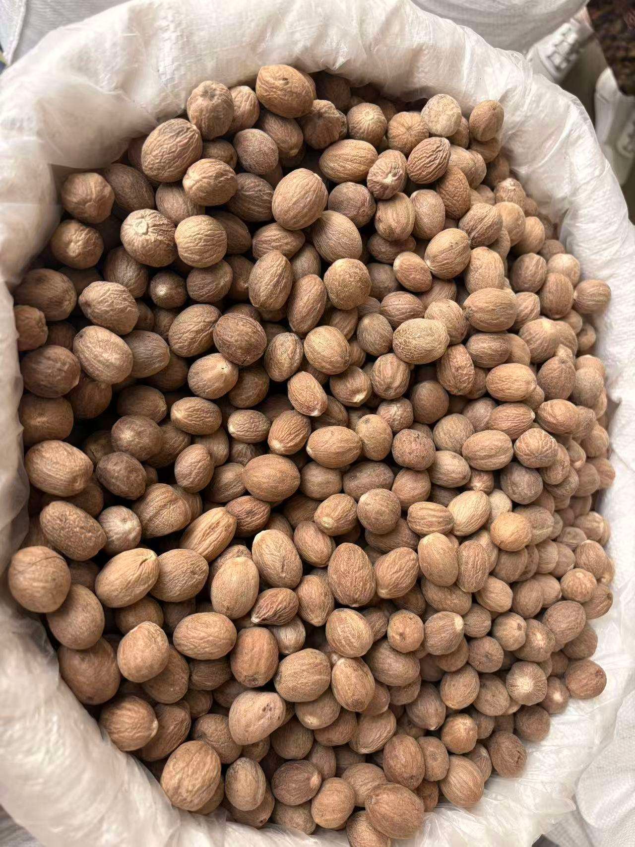 Stable Quality Whole Nutmeg Premium Spice for Baking Cooking and Spice Blending