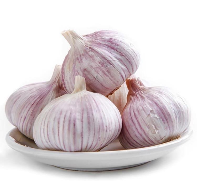 Chinese Top-Notch Pure White Fresh Healthy Garlic Perfect for Culinary Use Mesh Bag Packaging Convenient for Market Selling