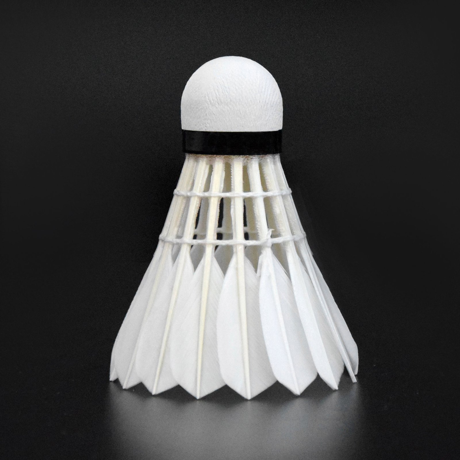 Top Quality White Goose Badminton Goose Feather for Training Cheap Price Hot Sale in Cambodian Market 12piece/Set High Level