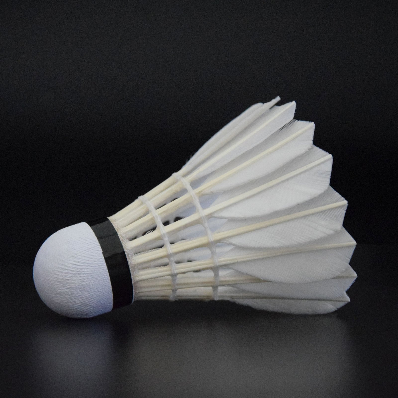 Top Quality White Goose Badminton Goose Feather for Training Cheap Price Hot Sale in Cambodian Market 12piece/Set High Level