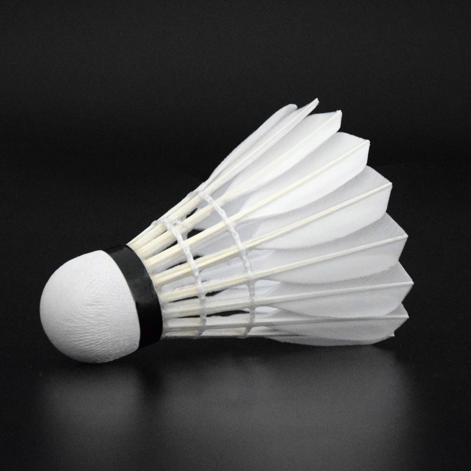 Top Quality White Goose Badminton Goose Feather for Training Cheap Price Hot Sale in Cambodian Market 12piece/Set High Level