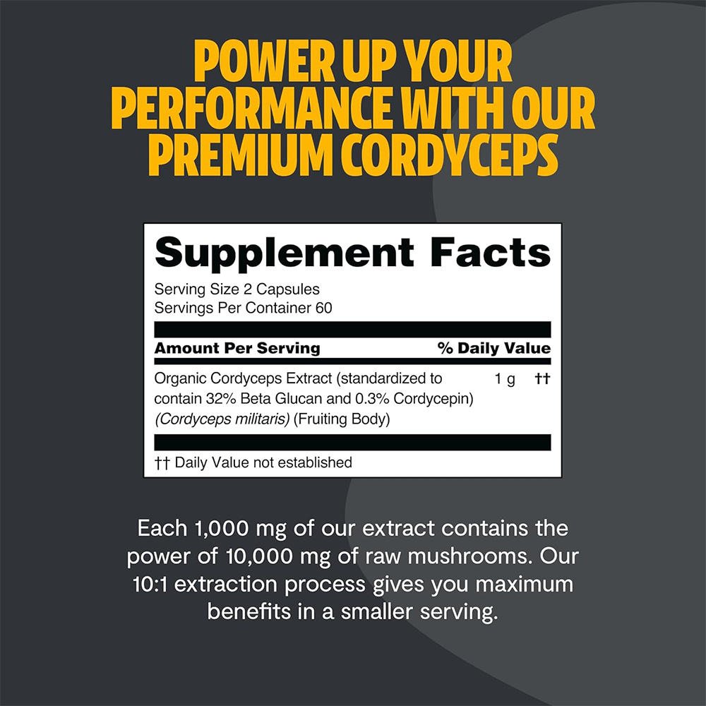 OEM Cordyceps Sinensis Mushroom Capsules Brain Health Supplements Extract Capsule for Adults Not for Pregnant Women