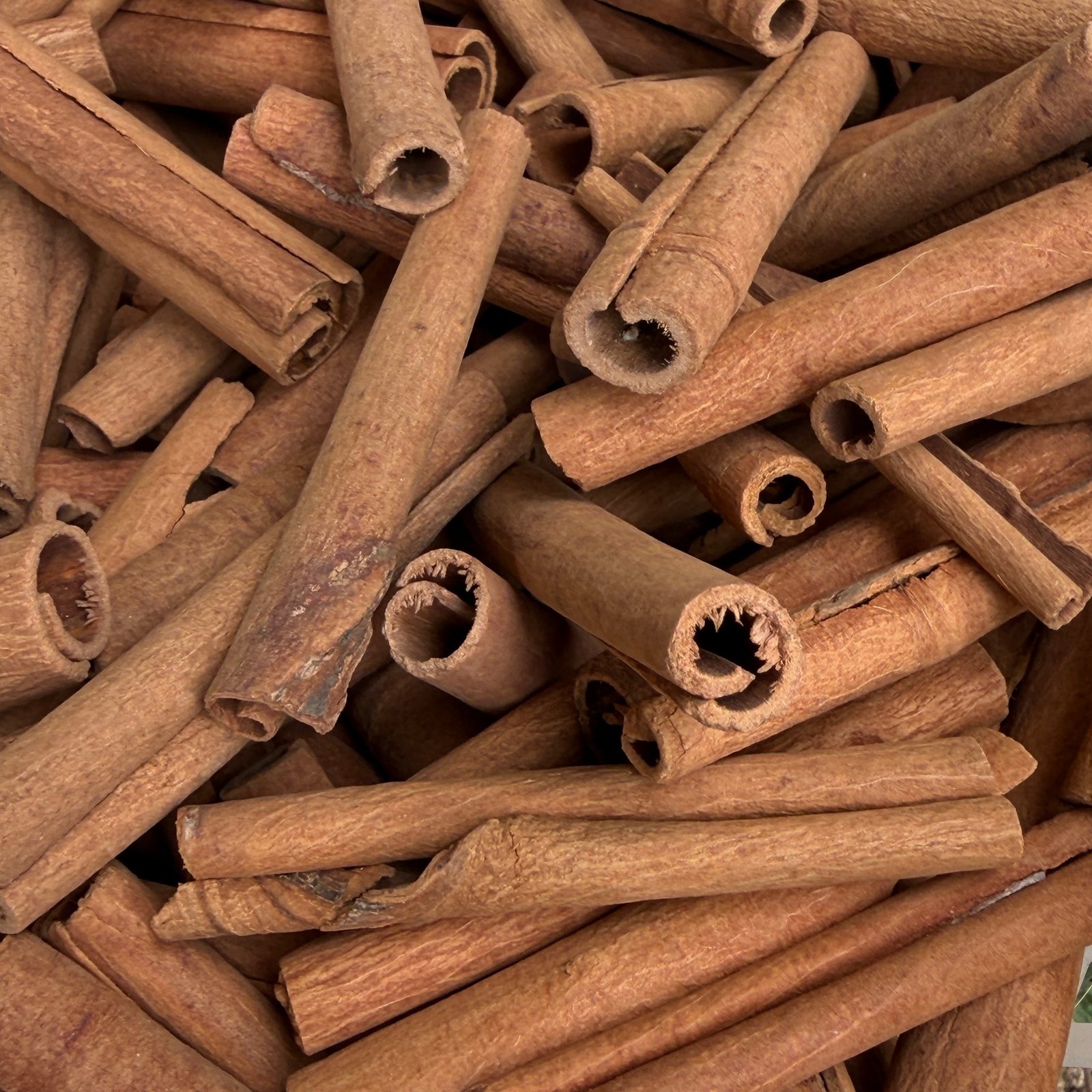 Wholesale Mixed Spices and Seasonings Dried Raw Cassia and Crushed Cinnamon Single Herbs & Spices Spicy