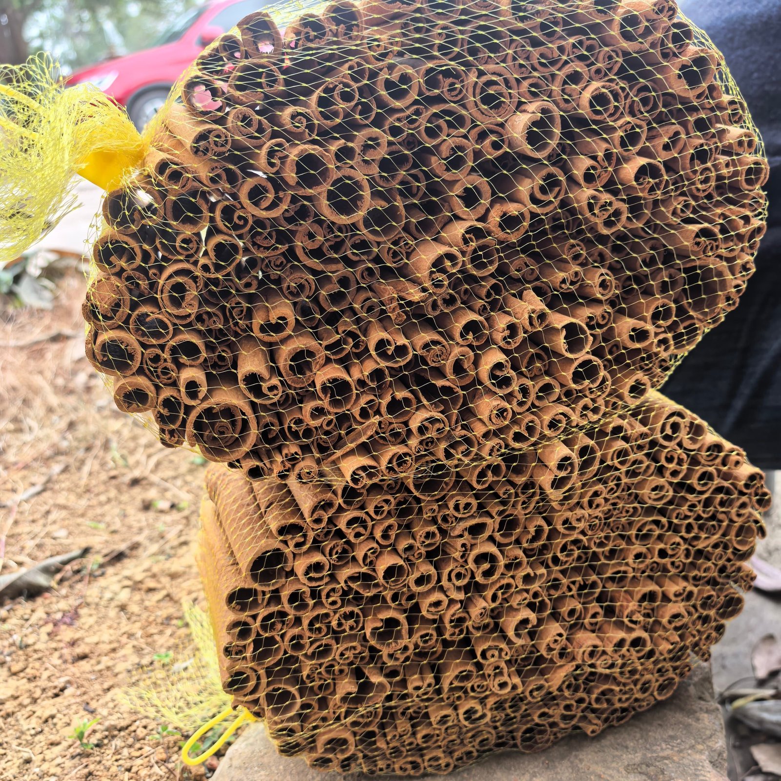 Cheap Price Dried Cinnamon Stick Bulk Supply Wholesale Top Grade Natural Spice Export