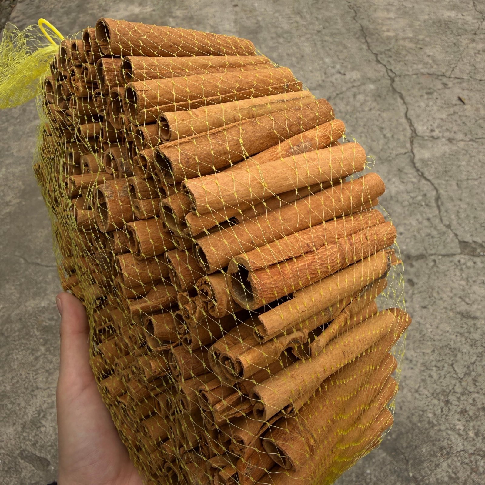 Cheap Price Dried Cinnamon Stick Bulk Supply Wholesale Top Grade Natural Spice Export
