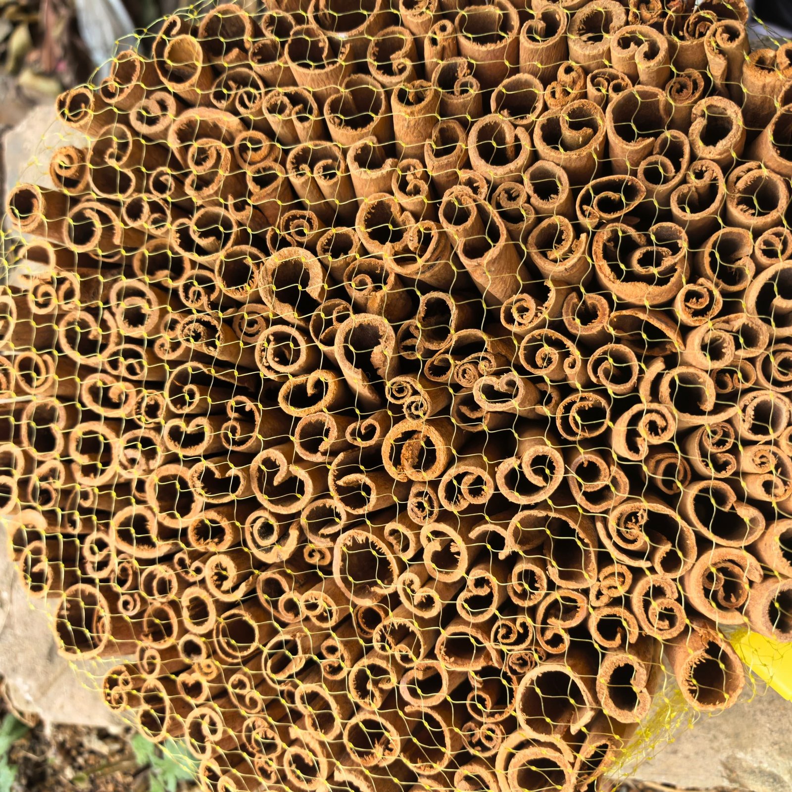 Cheap Price Dried Cinnamon Stick Bulk Supply Wholesale Top Grade Natural Spice Export