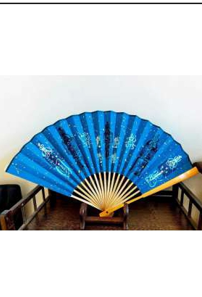 Chinese Daoist Ritual Fan – Five Thunders Fan