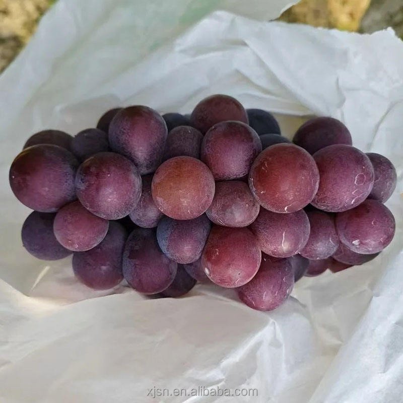 Factory Direct Fresh Hutai No.8 Grapes With Strict Quality Control, Safe Healthy Fresh Fruit for Global Buyers