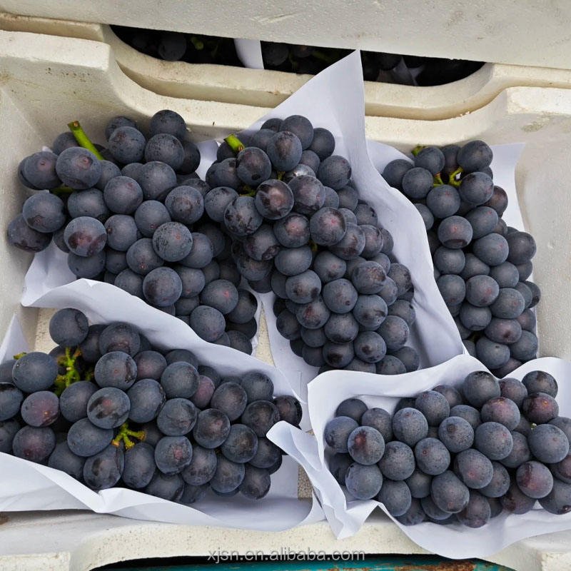Fresh Hutai No.8 Grapes Bulk Supply, High Yield Quality Grapes From Professional Base