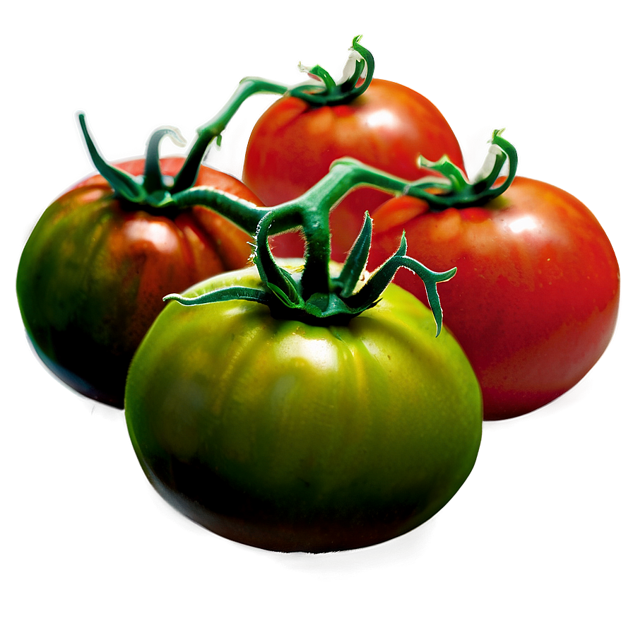High Quality Organic Mature Indian Red Tomatoes Fresh Solanceous Vegetable Karnataka Long Shelf Life North East Agri Exports