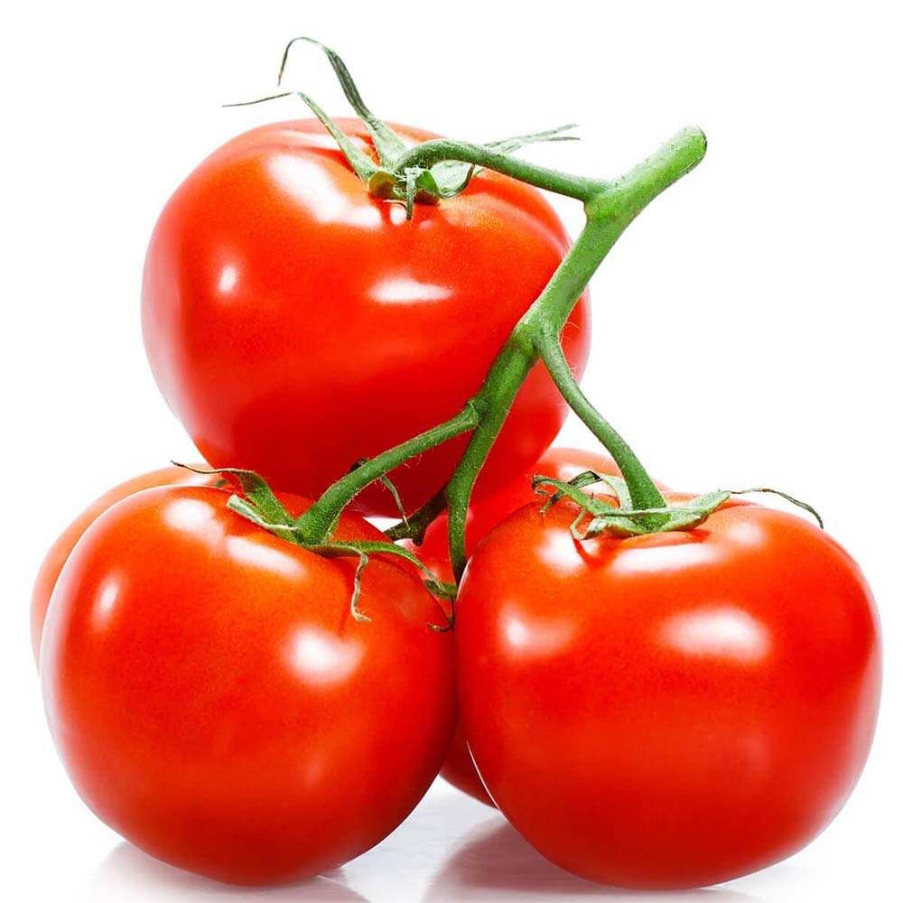 High Quality Organic Mature Indian Red Tomatoes Fresh Solanceous Vegetable Karnataka Long Shelf Life North East Agri Exports
