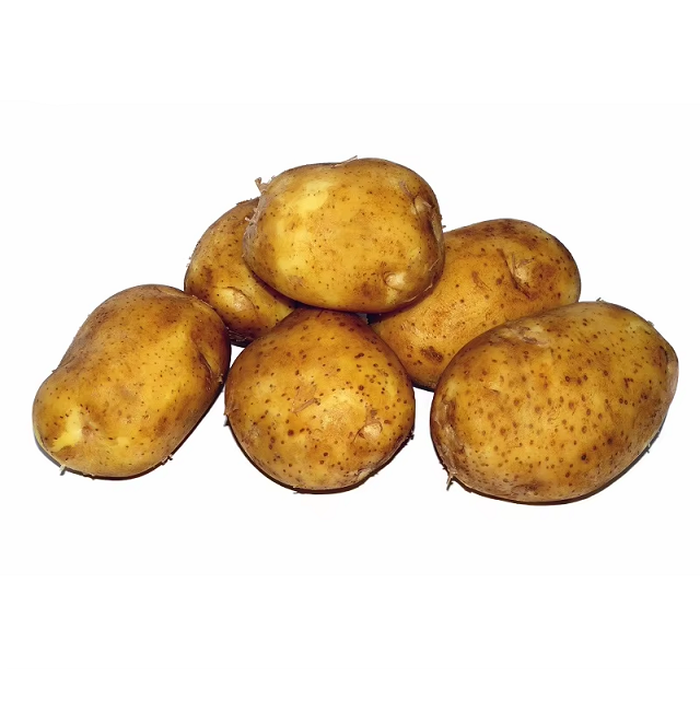 Pure Natural Fresh Potatoes High Quality Farm Produce for Curry Chips Baking Snacks Cooking and Meals