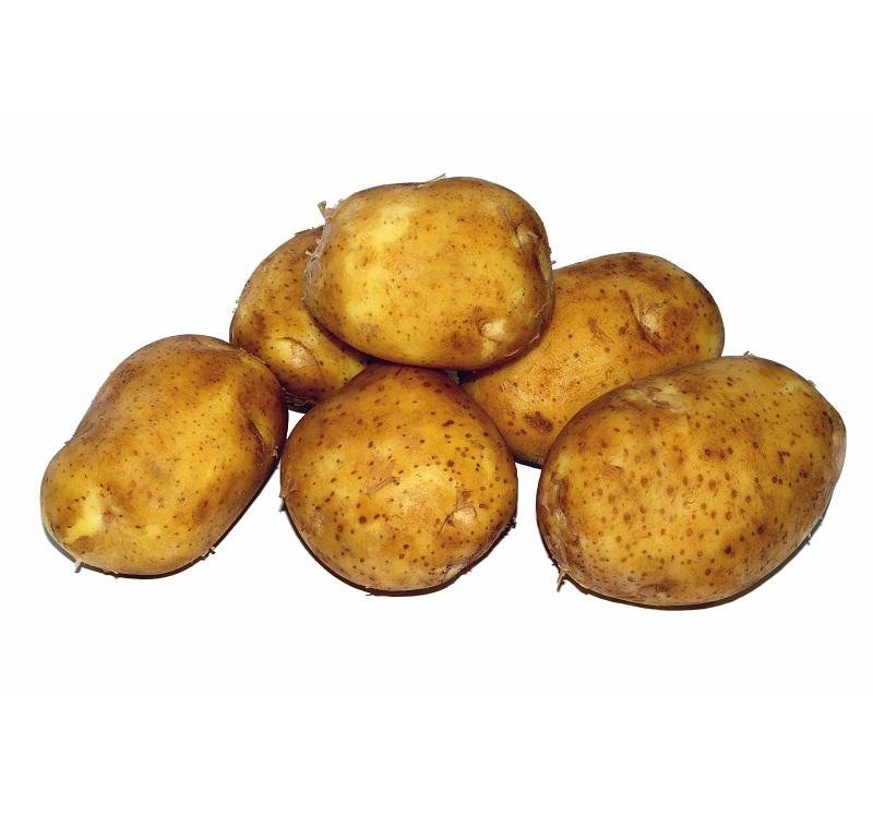 Pure Fresh Potatoes High Quality Natural Farm Produce for Curry Chips Snacks Fries Baking and Daily Food Preparation