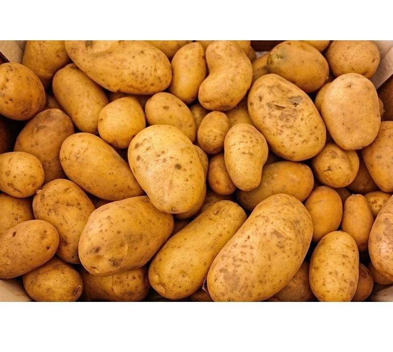 Natural Fresh Potatoes Premium Quality Rich Taste Farm Produce Ideal for Curry Frying Baking Soup and Healthy Meals