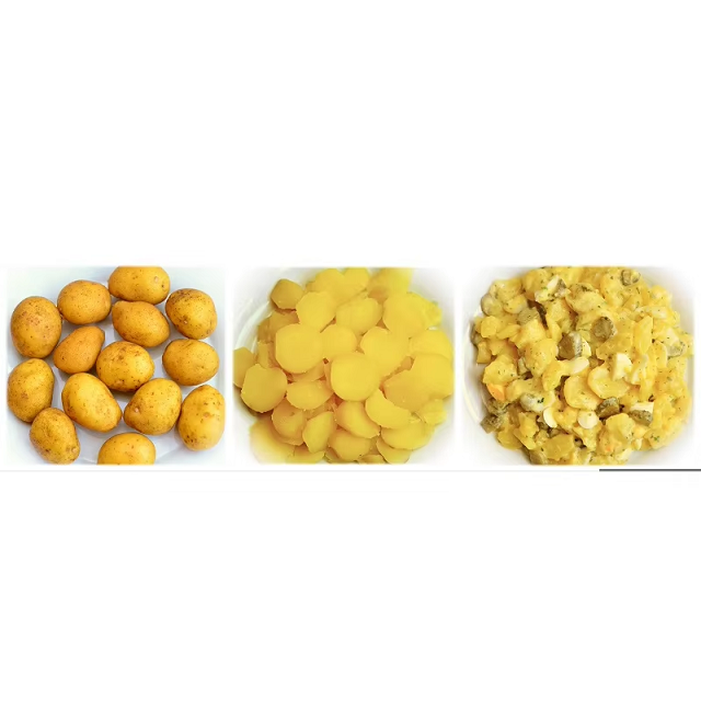 Pure Natural Fresh Potatoes Premium Quality Farm Produce for Cooking Curry Frying Baking Soup and Meals