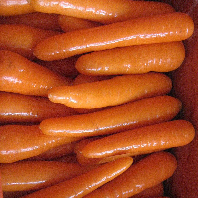 Wholesale Fresh Vegetables and Fruits Carrot by China Manufacturer Supplier