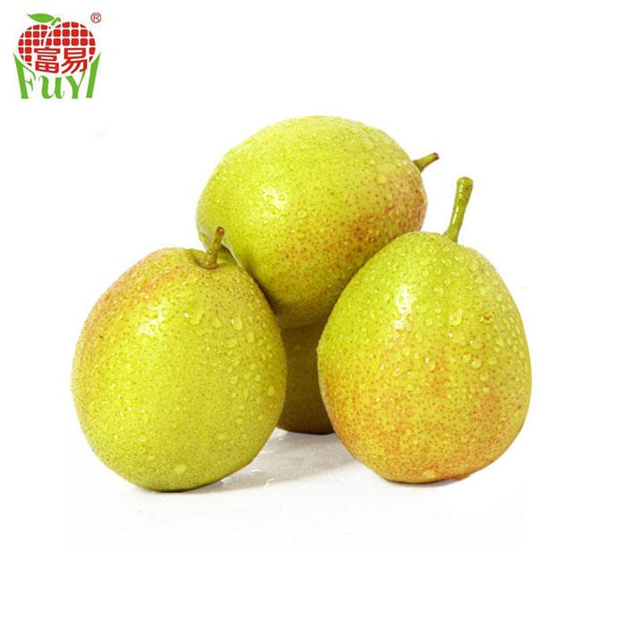 Yellow Fresh Pears/Big Size Golden Pears/Sweet Pear Fruit