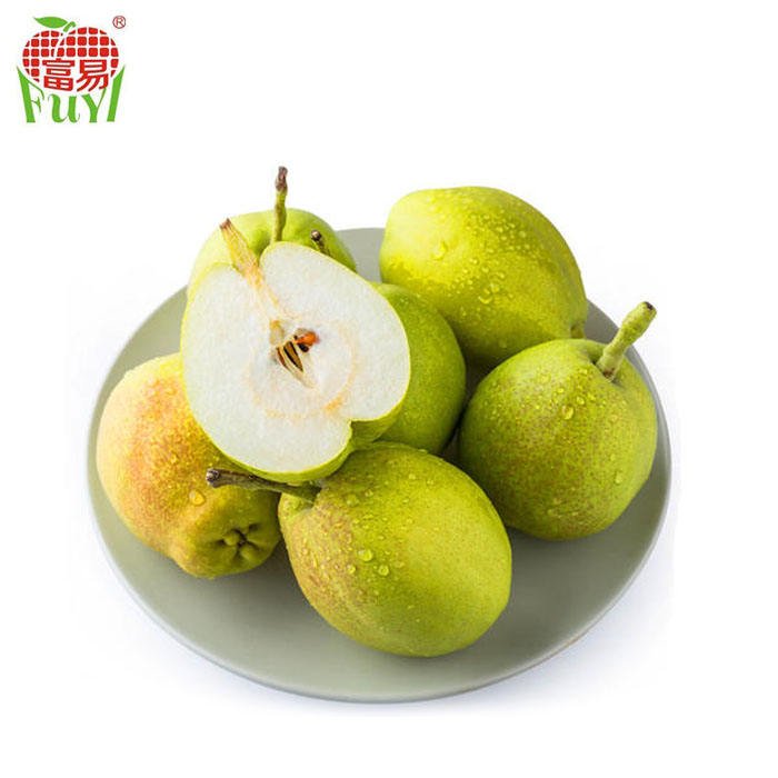 Yellow Fresh Pears/Big Size Golden Pears/Sweet Pear Fruit