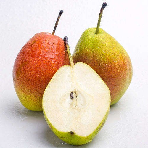 Yellow Fresh Pears/Big Size Golden Pears/Sweet Pear Fruit