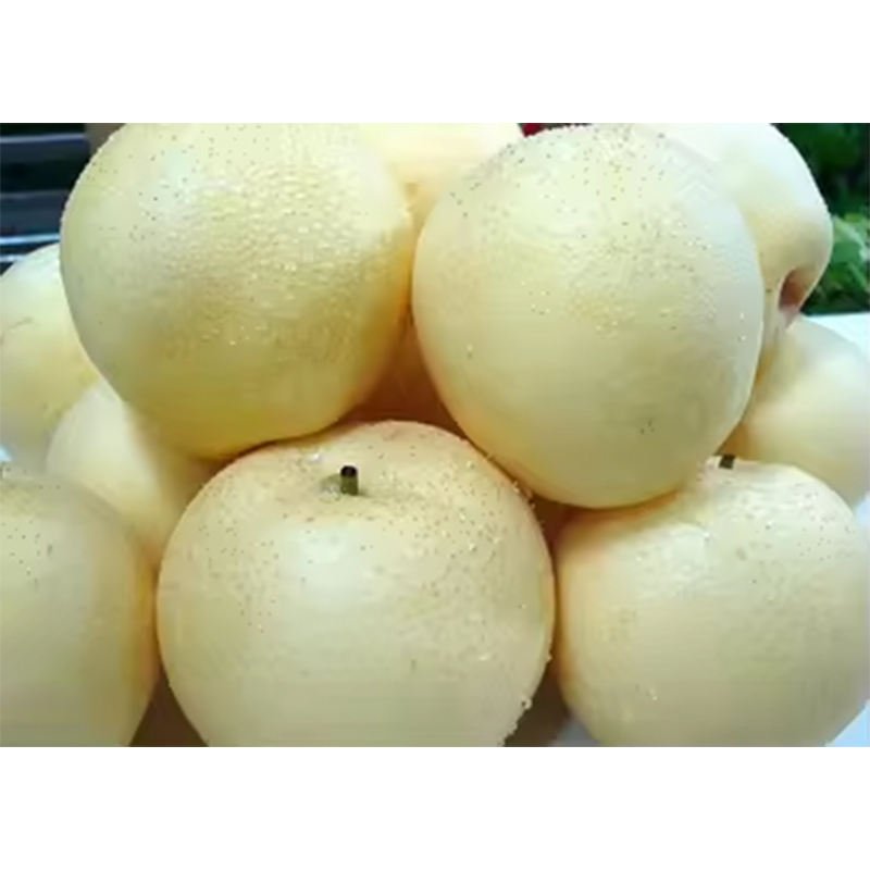 Fresh Crow Pear Fresh Sweet Pear Export