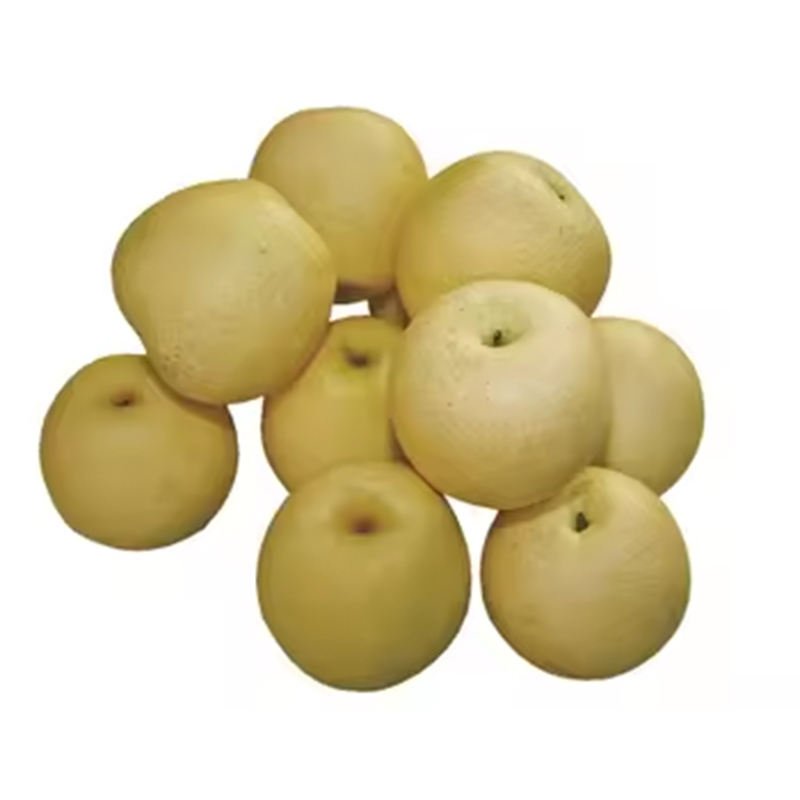 Fresh Crow Pear Fresh Sweet Pear Export