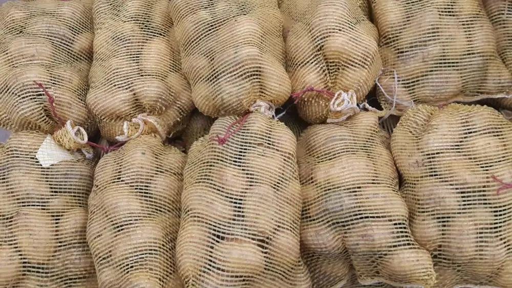 Potato Fresh Sweet Potatoes High Quality Cheap Price Professional Export Wholesalers Fresh Potato