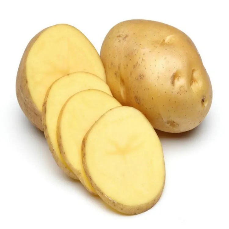 Fresh Potato New Crop Vegetables Wholesale Potato Prices for Export Fresh Chinese Factory Supplier Fresh Onions and Potato
