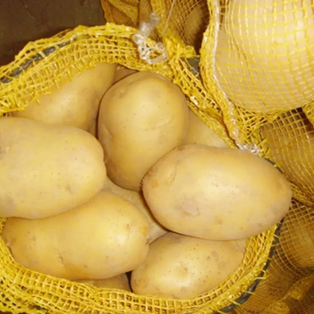 Fresh Potato New Crop Vegetables Wholesale Potato Prices for Export Fresh Chinese Factory Supplier Fresh Onions and Potato