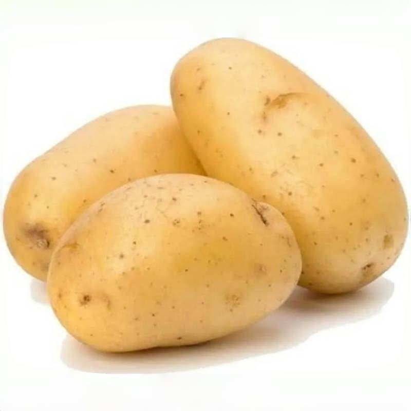 2025 Crop Fresh Potato Export 100-200g Chinese Potato Factory Cheap Price