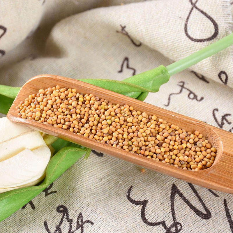 TONGJIN High Quality Yellow Mustard Seed for Cooking Reliable Food Mustard Seeds in Bulk