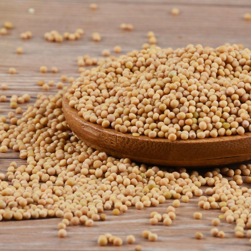 Yulin Spice Wholesale Bulk Dry Yellow Mustard Seeds Natural Raw Grain Food Mustard Seeds