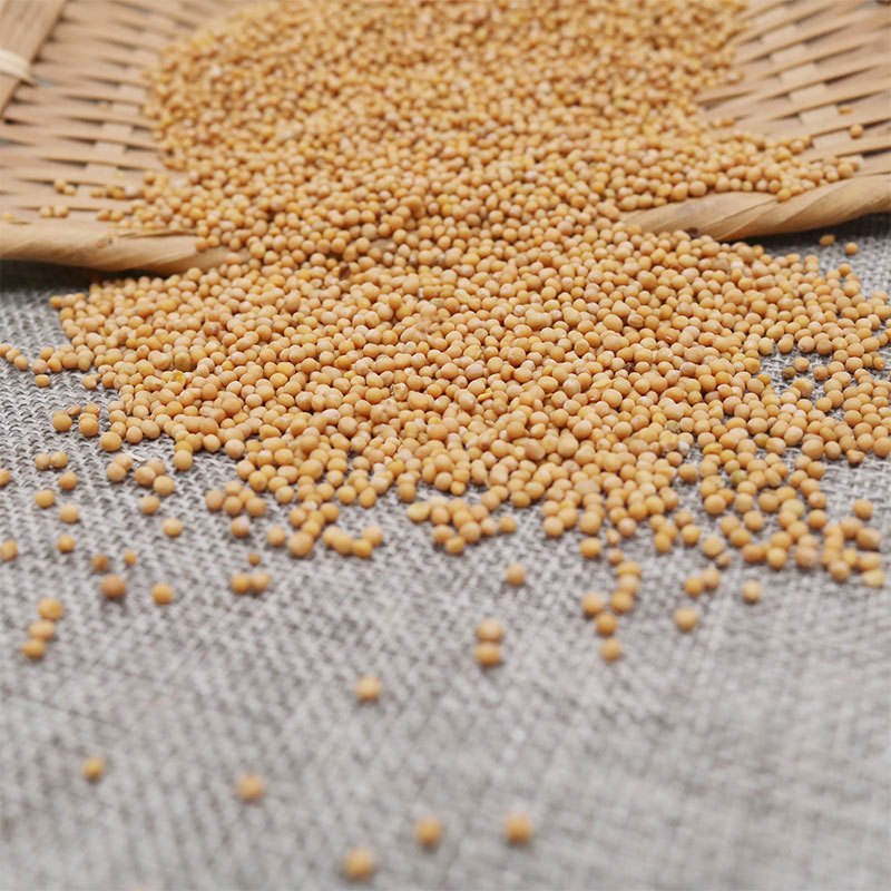 Yulin Spice Wholesale Bulk Dry Yellow Mustard Seeds Natural Raw Grain Food Mustard Seeds