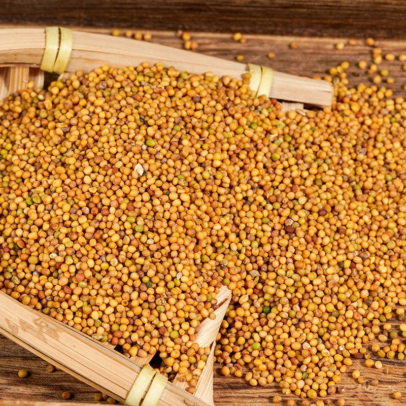 Wholesale Price Single Spices & Herbs Hot Selling 100% Natural Mustard Dry Whole Yellow Mustard Seeds