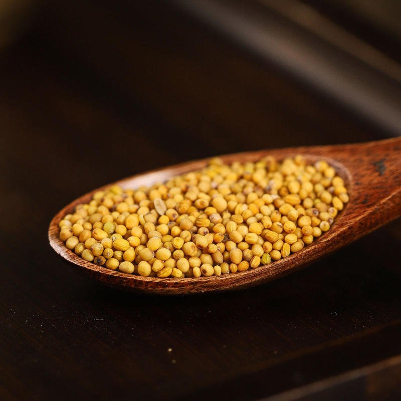 Wholesale Price Single Spices & Herbs Hot Selling 100% Natural Mustard Dry Whole Yellow Mustard Seeds