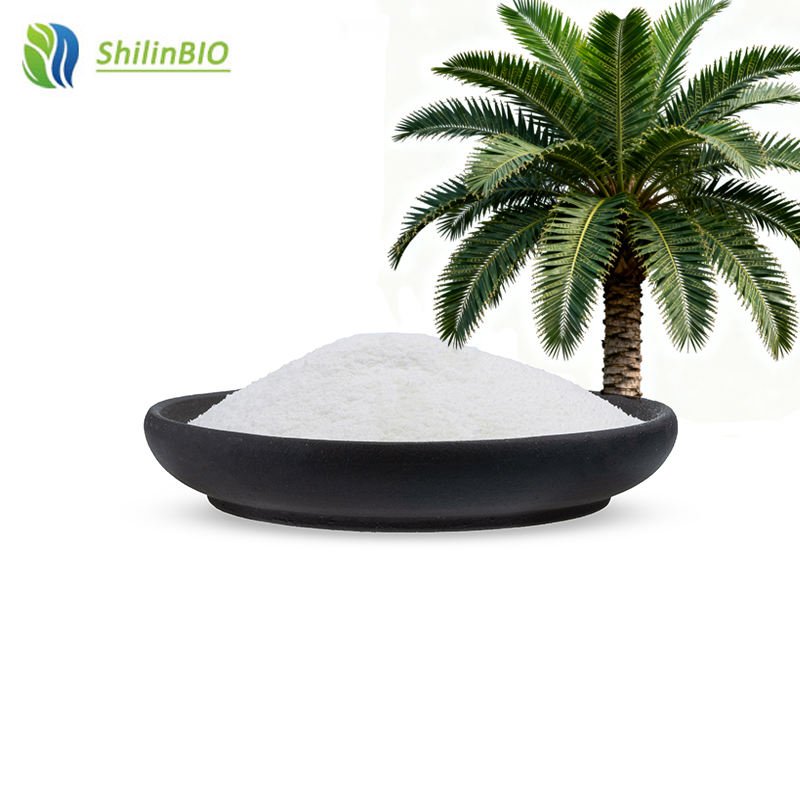Wholesale Pure White Saw Palmetto Extract 25% Fatty Acid Powder Herbal Supplements Food Grade