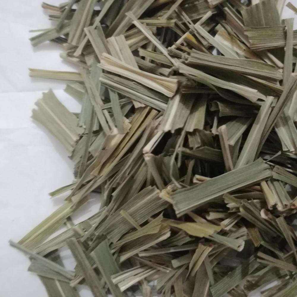 New Harvested Healthy Tea Dried Malabar Grass Cochin Grass Leaf Cuts for Herbal Tea