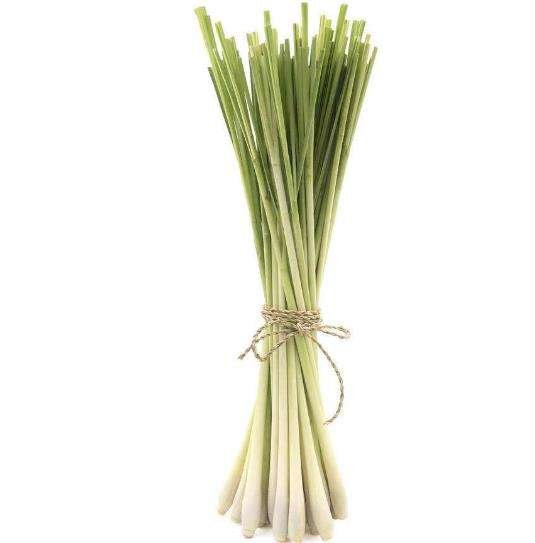Fragrant Herbal Tea Lemon Grass Natural Green Sliced Lemongrass Cuts for Spice Tea