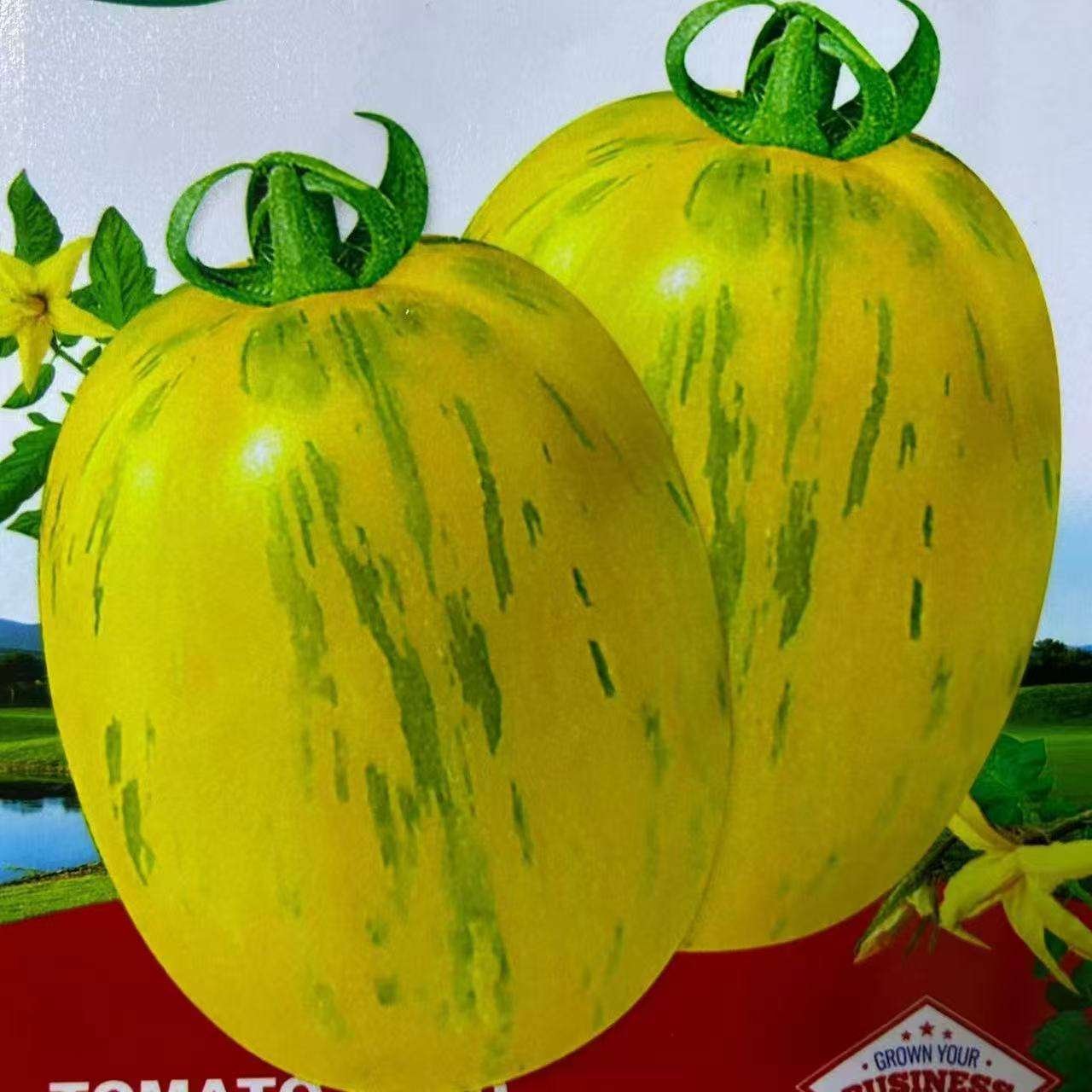 Persimmon Tomato Dried Vegetables Premium Quality for Healthy Snacks and Cooking Ingredients