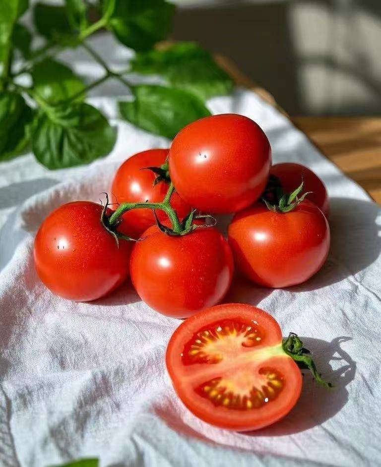 Export Quality Fresh Tomato for Wholesale Market and Hotel Restaurant Food Preparation