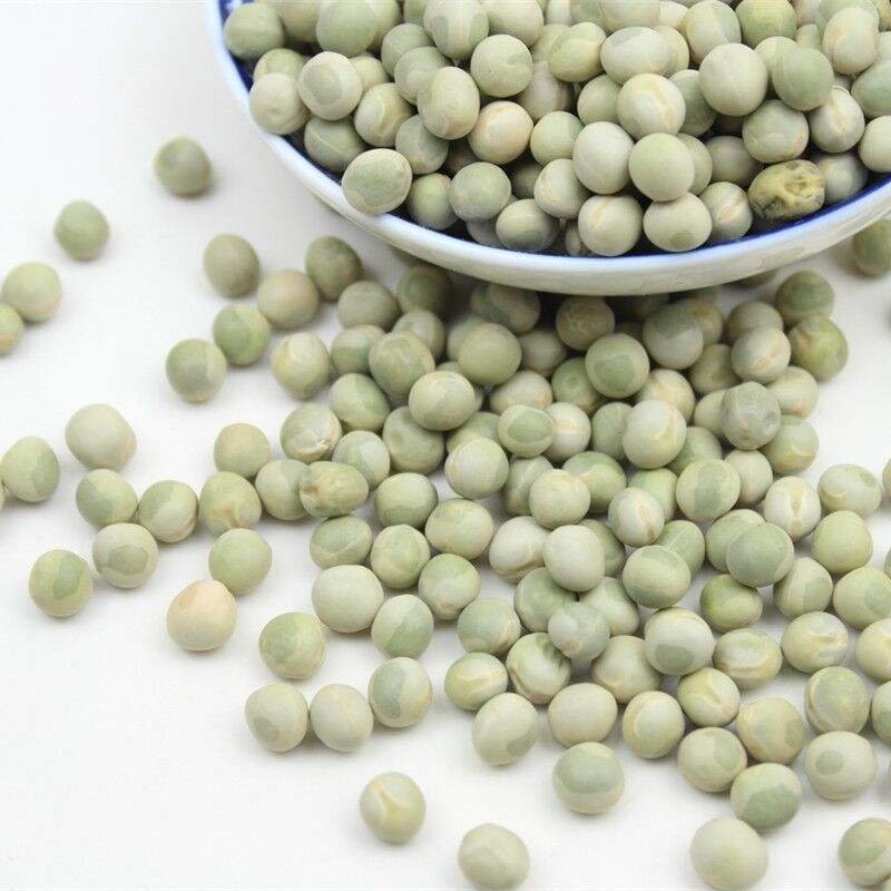 Wholesale Economic and Reliable Natural Freeze Dried Green Pea