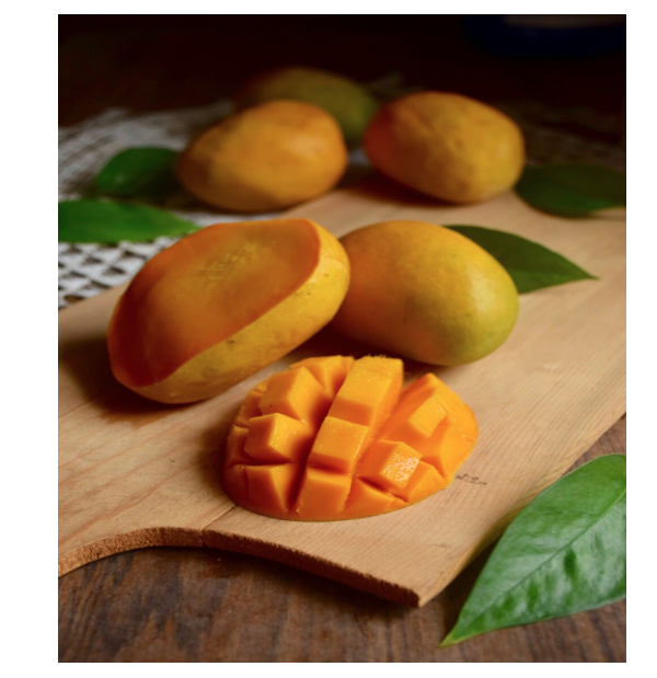Fresh Alphonso Mango Premium Quality Natural Indian Hapus Mango Sweet Flavor Juicy Tropical Fruit for Export Wholesale Supply