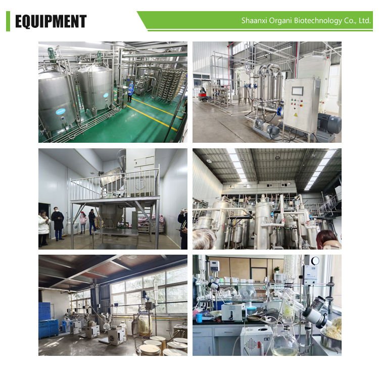 Organic Eggshell Powder Food Grade Egg Shell Membrane Extract Powder 95% Eggshell Membrane Powder