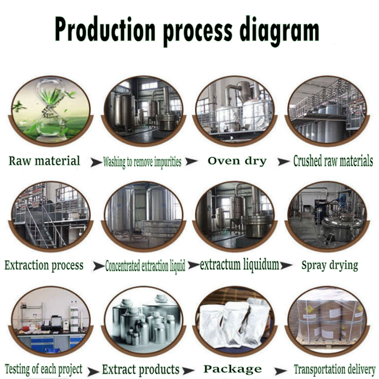 Factory Supply Natural Premium Eggshell Membrane Extract 99% Egg Shell Membrane Extract Powder Eggshell Membran Powder