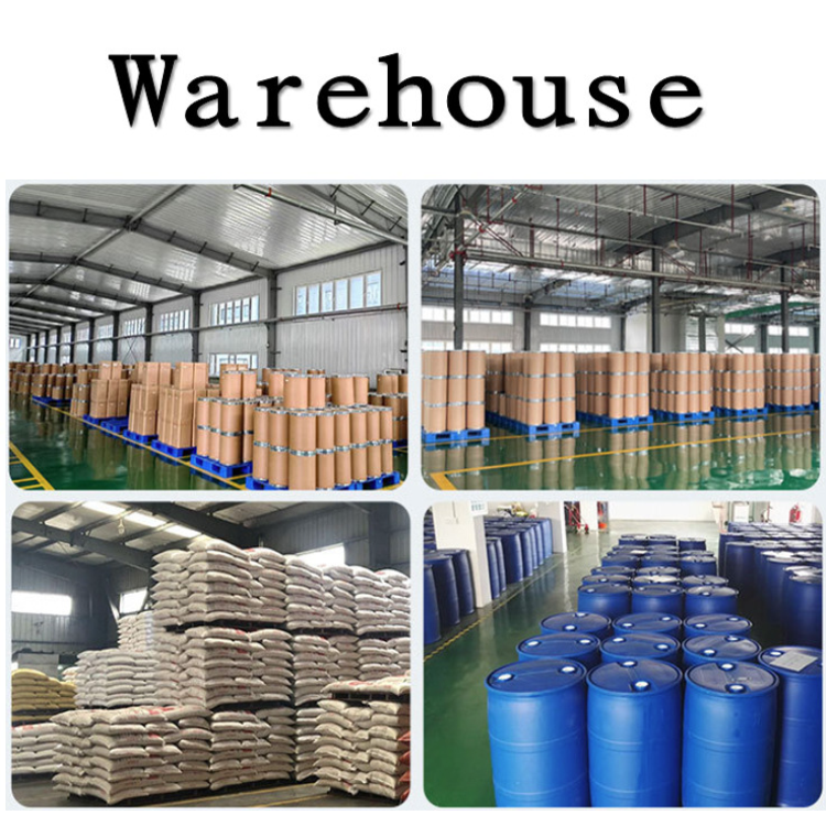 Factory Supply Natural Premium Eggshell Membrane Extract 99% Egg Shell Membrane Extract Powder Eggshell Membran Powder