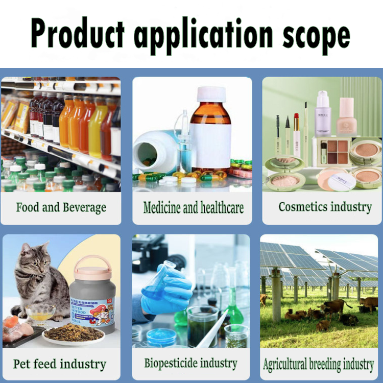 Factory Supply Natural Premium Eggshell Membrane Extract 99% Egg Shell Membrane Extract Powder Eggshell Membran Powder