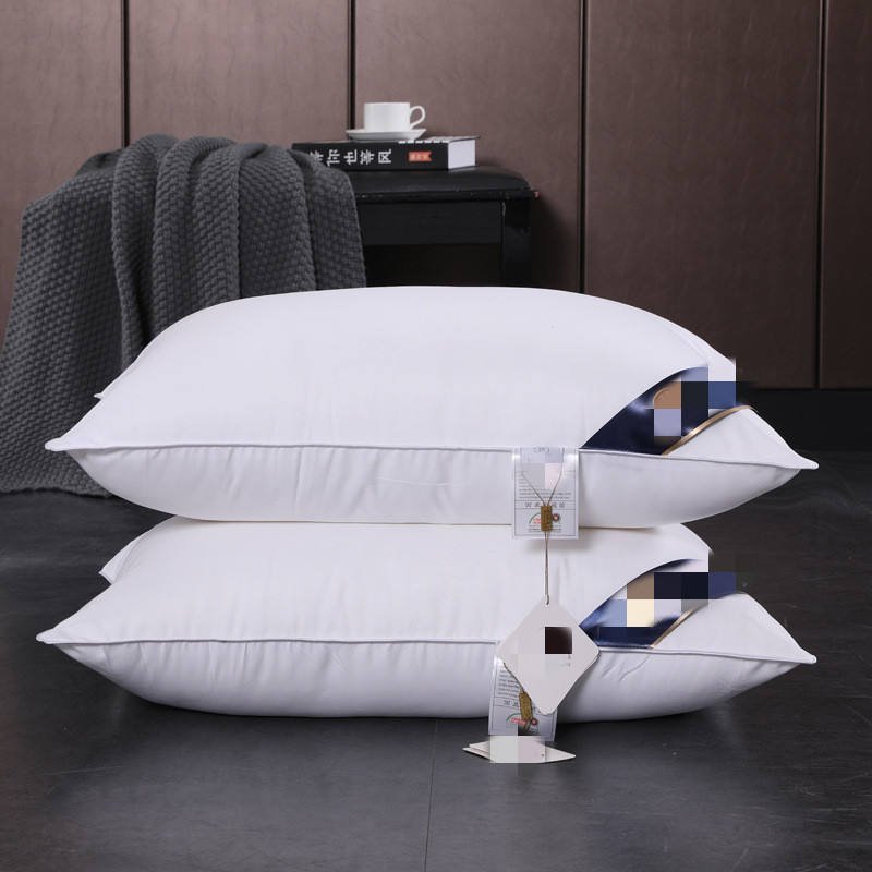 Fast Shipping Soft Fill Down Hilton Pillow 1000g with Bag Bed Neck Pillow for Hotel Home