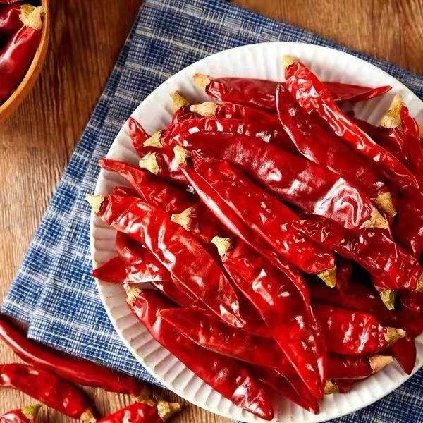 Wholesale Factory Spice Supplier Dried Red Chili Pepper Chilies Dry Red Chili